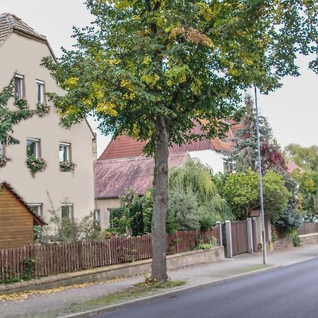 Pension Muldental Grossbothen Grimma Eksteriør billede
